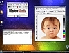 WindowBlinds 6.01 Build 40 썸네일